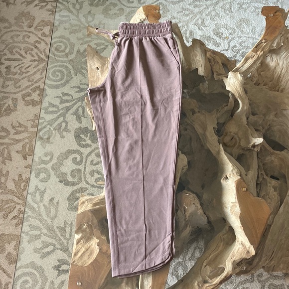 Prana Pants - NWOT Prana pants, in mauve, size small.